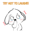 Lovely White Dog 4 .MOV 12