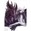 Dragons 11