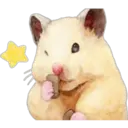 Hamsters Cute 18