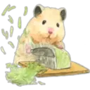 Hamsters Cute 9
