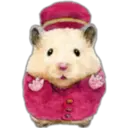 Hamsters Cute 23