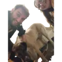 cibilibom 6