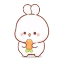 Cotton bunny 1 MOV 19