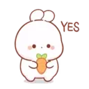 Cotton bunny 1 MOV 1