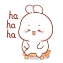 Cotton bunny 1 MOV 4