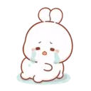Cotton bunny 1 MOV 11