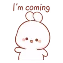 Cotton bunny 1 MOV 18