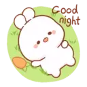 Cotton bunny 1 MOV 7