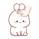 Cotton bunny 1 MOV 13