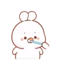 Cotton bunny 1 MOV 12
