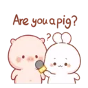 Cotton bunny 1 MOV 10