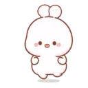 Cotton bunny 1 MOV 21