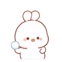 Cotton bunny 1 MOV 20