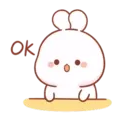 Cotton bunny 1 MOV 3
