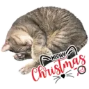 MEOWY Christmas