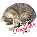 MEOWY Christmas