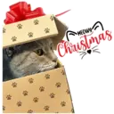 MEOWY Christmas