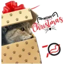 MEOWY Christmas