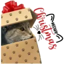 MEOWY Christmas 11