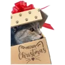 MEOWY Christmas
