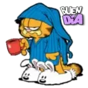 Garfield ️ix mov 11