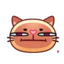 Gatitos 1 MOV. 26