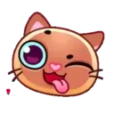 Gatitos 1 MOV. 21