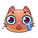 Gatitos 1 MOV. 27
