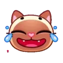 Gatitos 1 MOV. 18