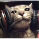 GATOS :D 4
