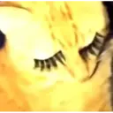Gatos graciosos 1 9