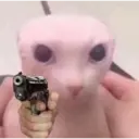 Gatos graciosos 1 7