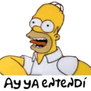 homer 30