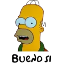 homer 25