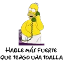 homer 28