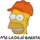homer 12