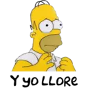 homer 23
