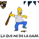 homer 27