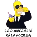 homer 29