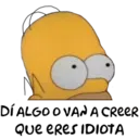 homer 11