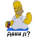 homer 24