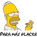 homer 19