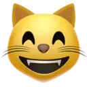 IOS Emoji 3 24