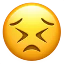 IOS Emoji I 29