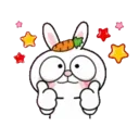 Kami Rabbit Happy Day 2