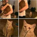 Lol 3 7