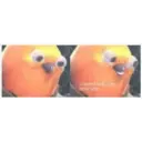 Lol 4 6