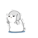 Machiko9 14