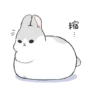 Machiko9 22