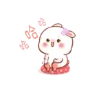 Molly Lady Rabbit 12